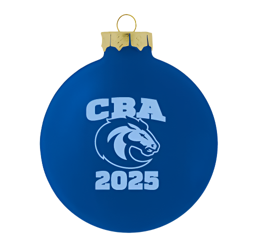2025 Christmas Ornament (8049)