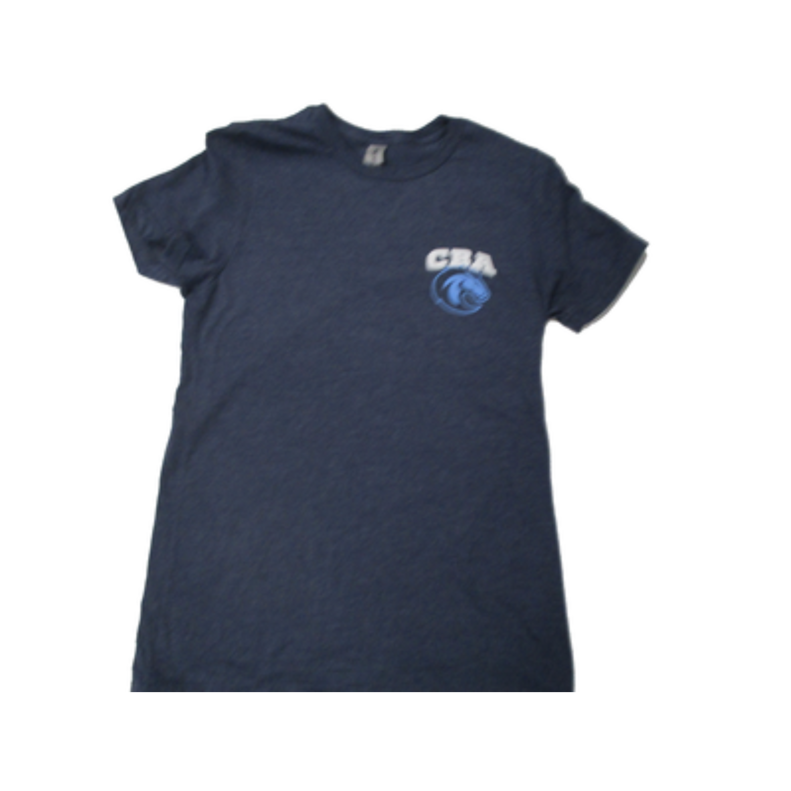 Blue Ladies Tee