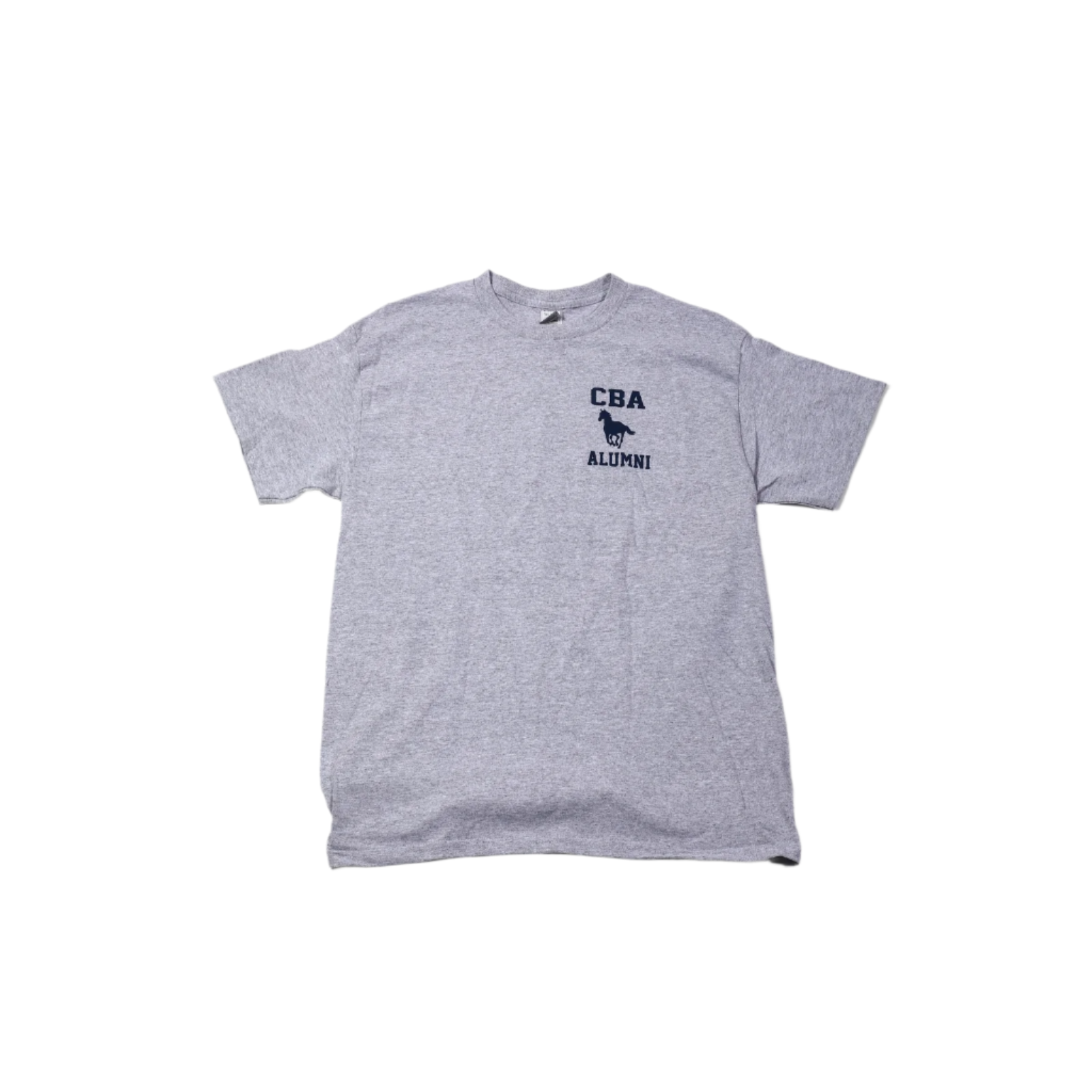 Alumni T-Shirt - GREY