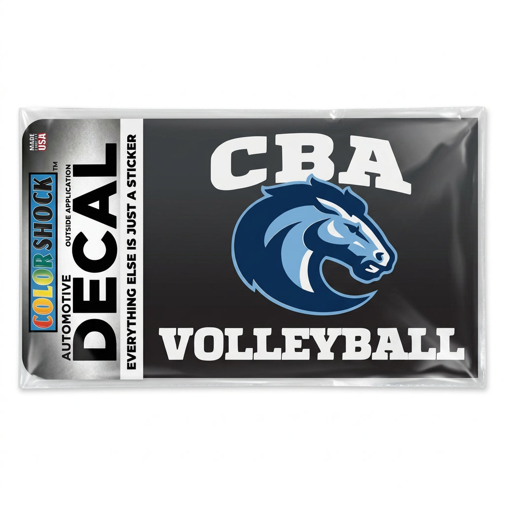 CBA Volleyball Decal (8135)
